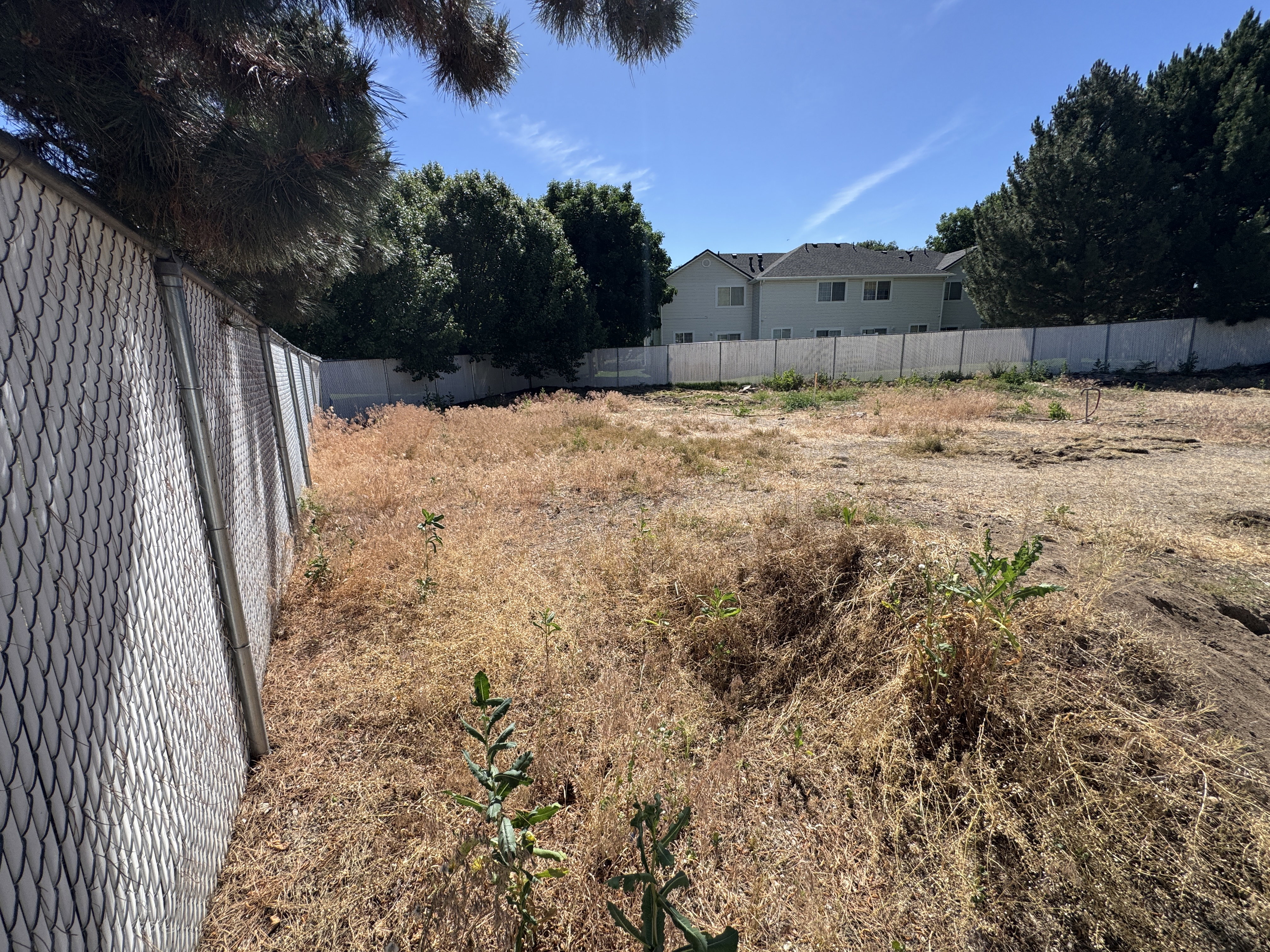 Expansive undeveloped lot featuring a chain-link fence, a perimeter of mature trees, and a clear, open sky