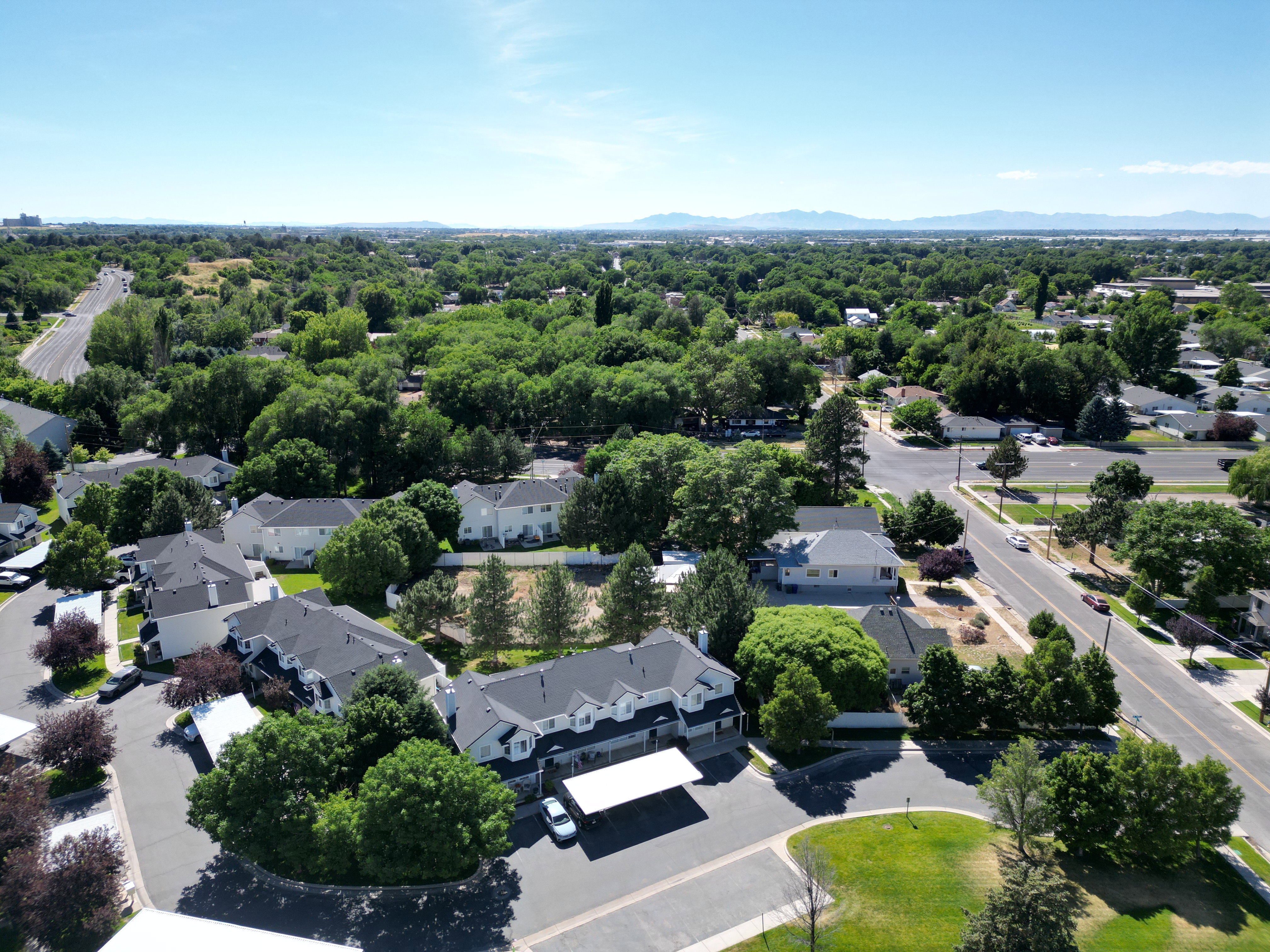 Residential neighborhood featuring mature trees and a manicured green space