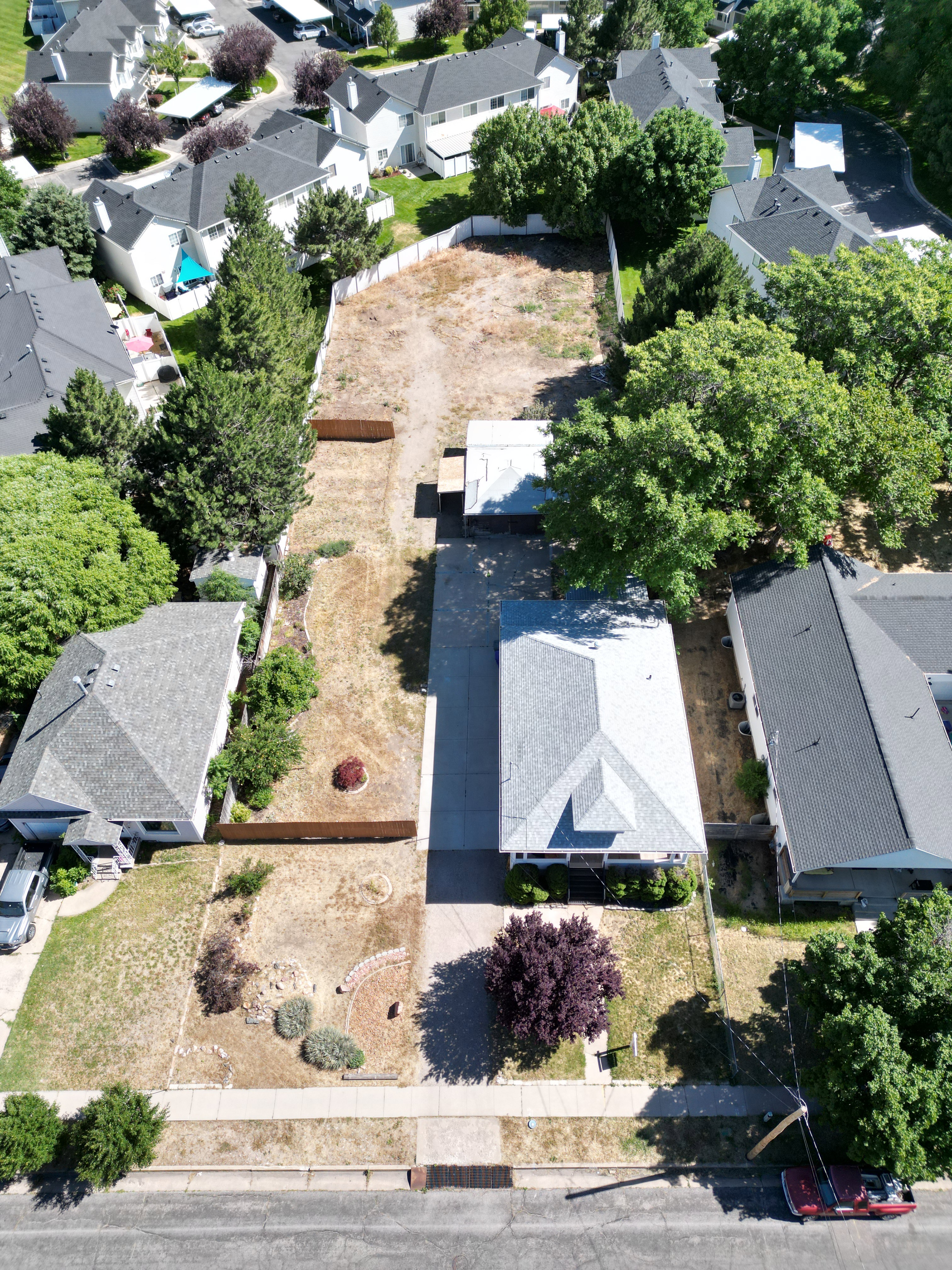 Single-family residence featuring a prominent front-facing gable roof, an attached driveway, and established landscaping including mature trees and shrubs