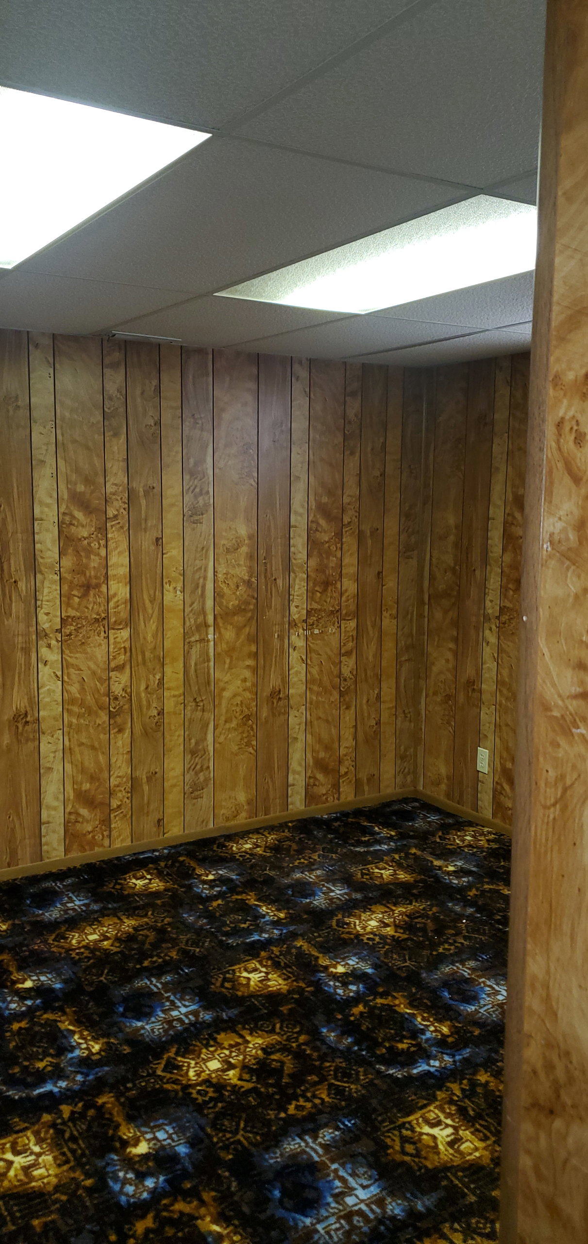 Paneled room featuring a patterned carpet and drop ceiling with recessed lighting
