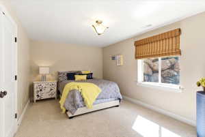 Bedroom featuring neutral wall paint, carpet flooring, a window with a woven wood shade, white baseboards, and a ceiling-mounted light fixture