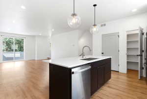 Modern kitchen island featuring a stainless steel sink, gooseneck faucet, and integrated dishwasher