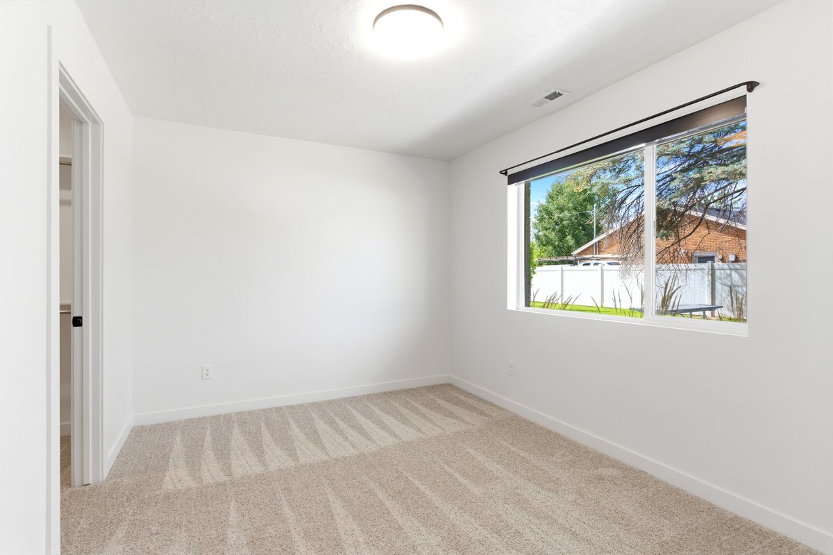 Neutral wall paint, plush carpeting, overhead lighting, and a large window with a roller shade