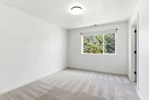 Bright interior room featuring a window with roller shade, white trim, light-toned patterned carpet, flush-mount ceiling lighting, and a white interior door with black hardware