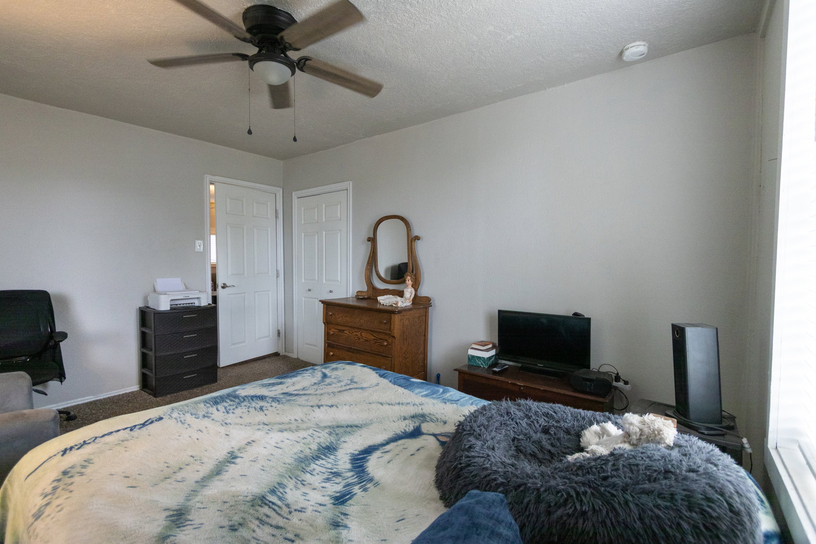 Neutral wall paint, ceiling fan with light fixture, and two white panel doors