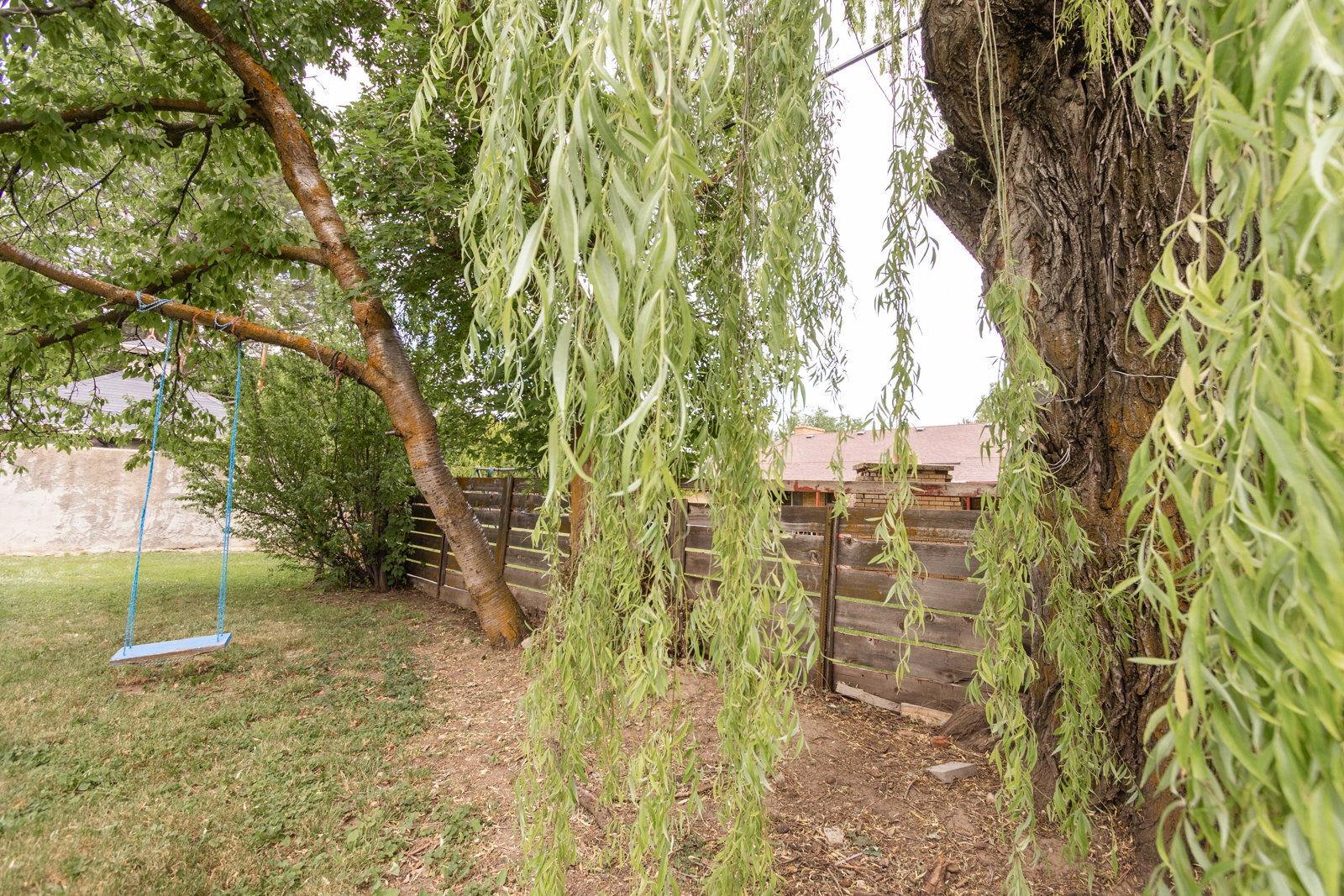Private backyard space featuring a mature weeping willow tree