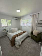 Wall-to-wall carpeting and a ceiling-mounted light fixture define this room
