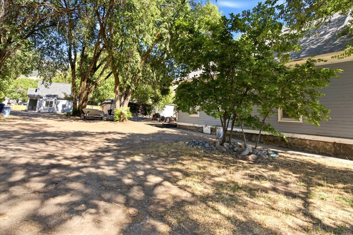 Spacious outdoor area featuring mature trees and a secondary structure