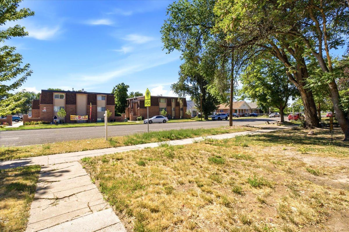 Street view featuring a concrete sidewalk and mature trees