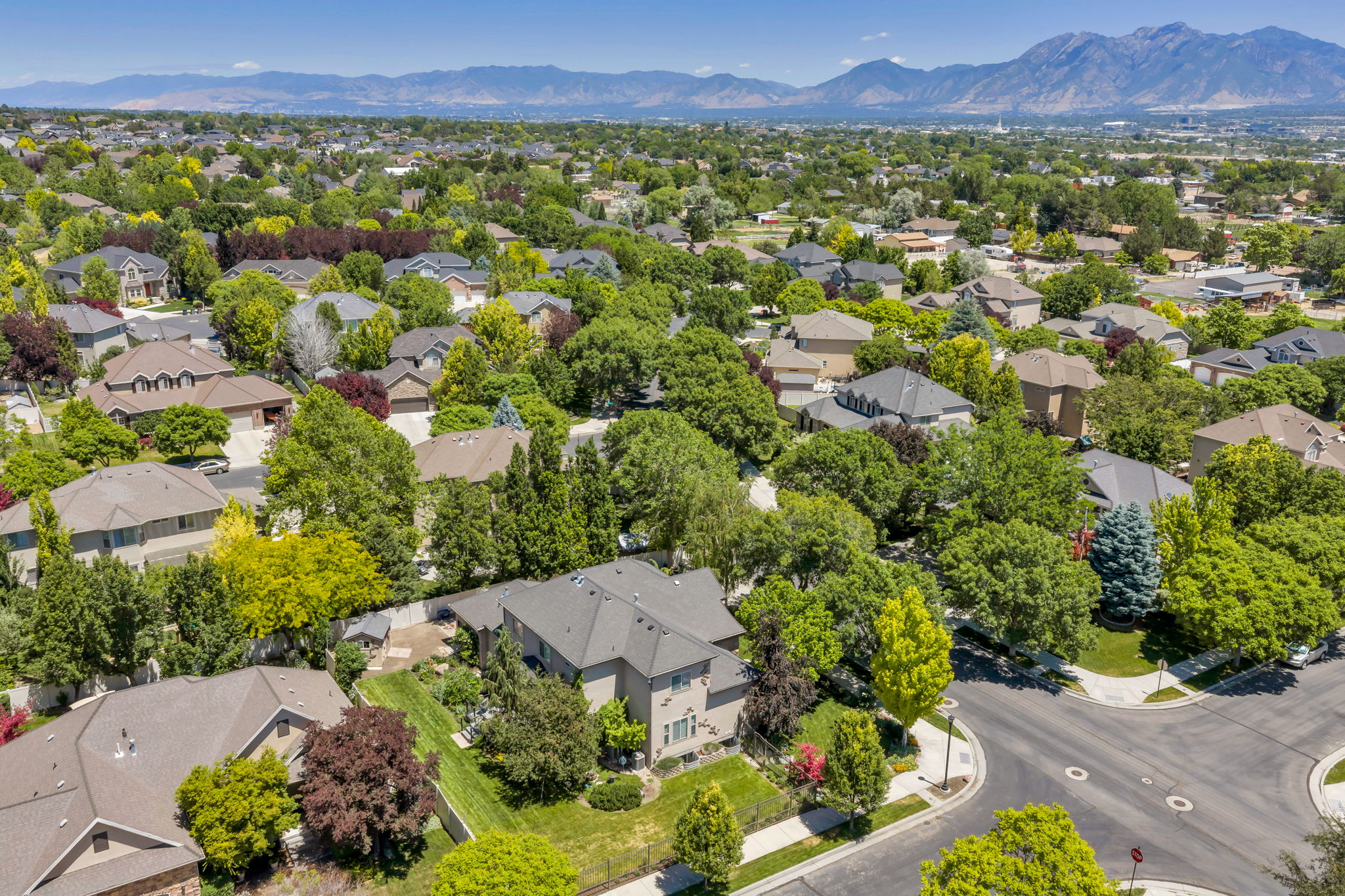 Expansive residential neighborhood featuring numerous mature trees and mountain scenery
