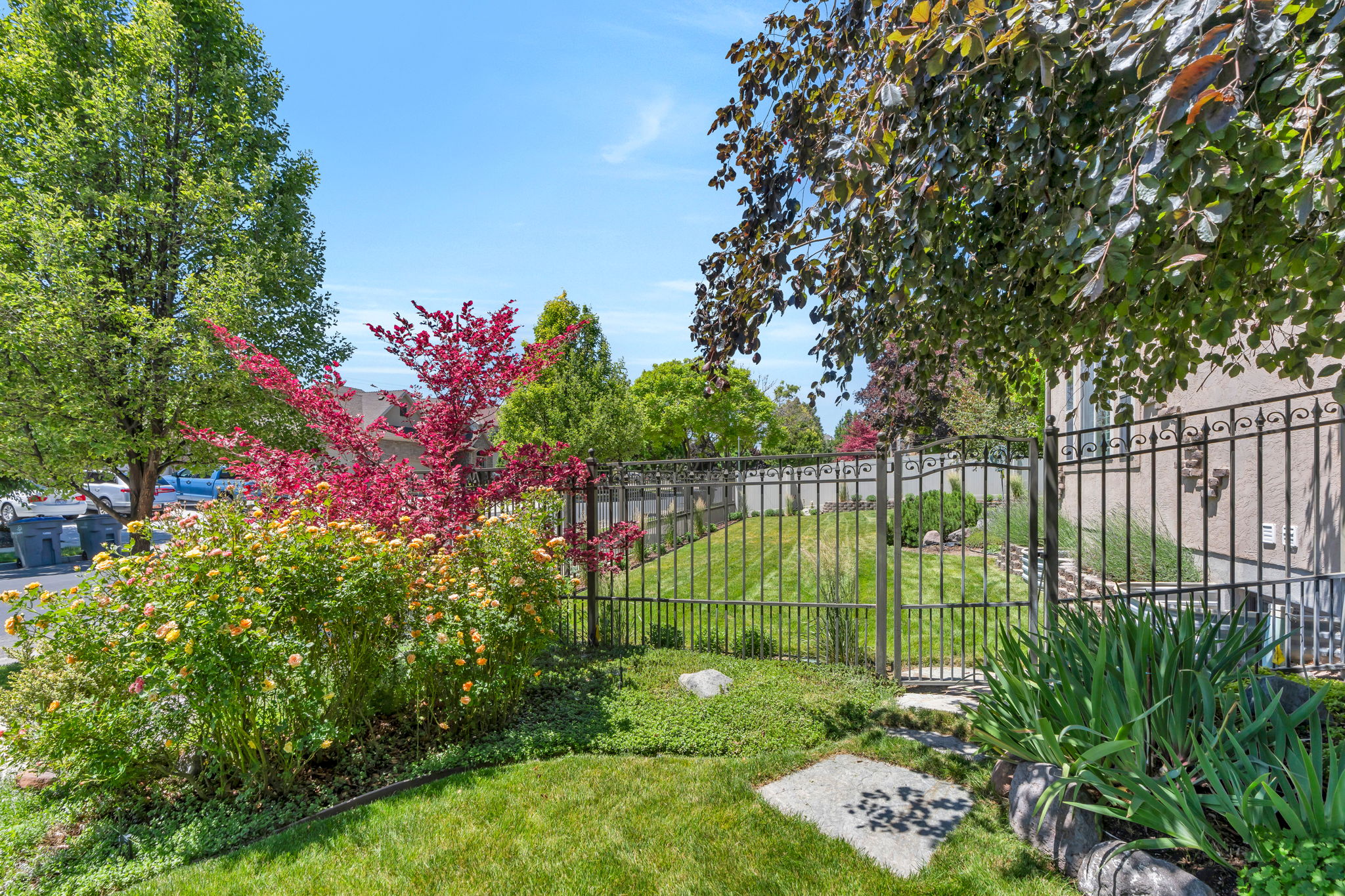 Manicured lawn area featuring mature trees and vibrant flowering shrubs