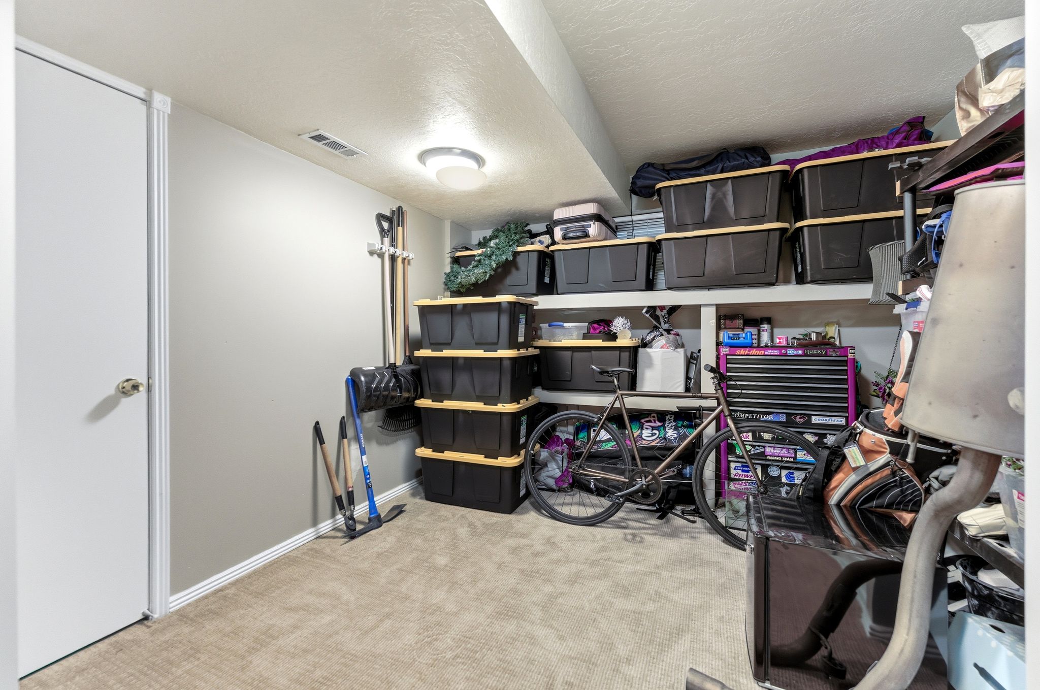 Carpeted utility space featuring a flush-mount ceiling light, white door with a round knob, and built-in shelving units