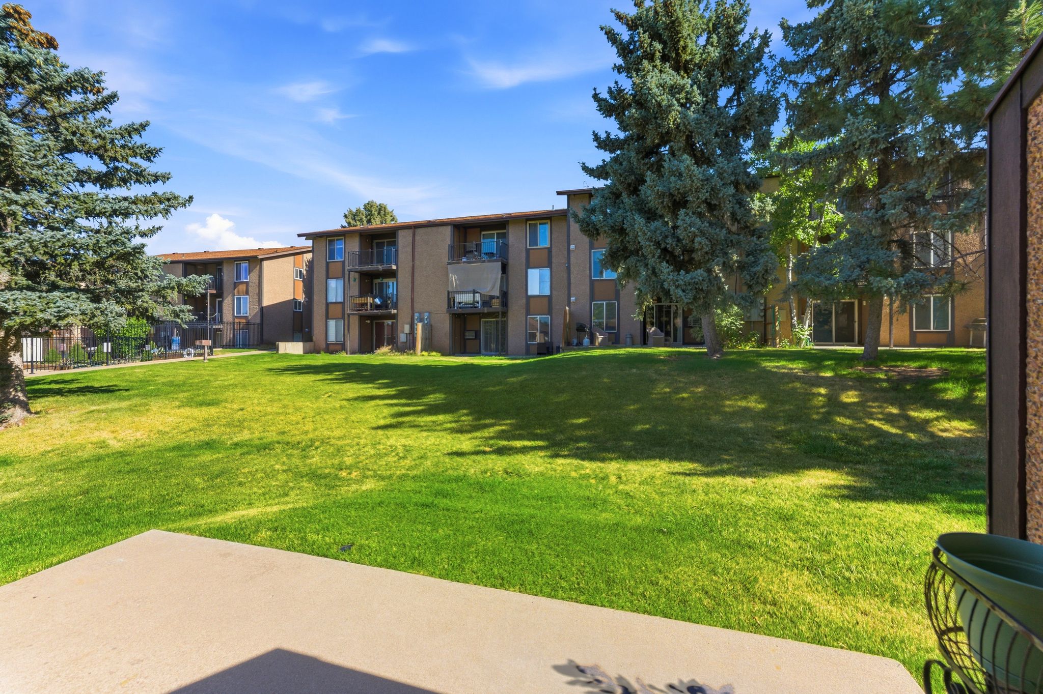 Expansive green space featuring manicured lawn and mature evergreen trees