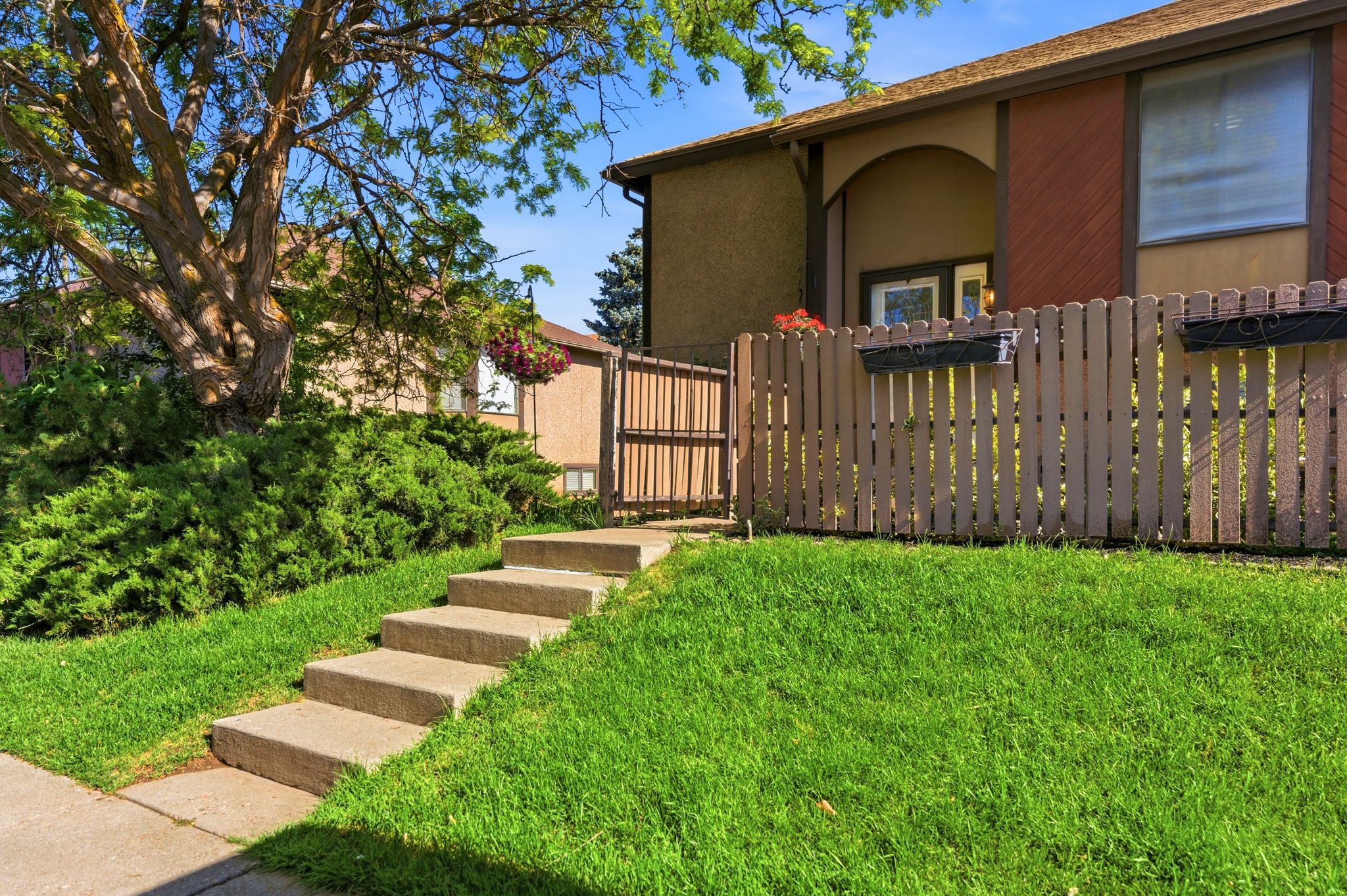 Exterior property entrance featuring concrete steps, a vibrant green lawn, mature landscaping, and a privacy fence