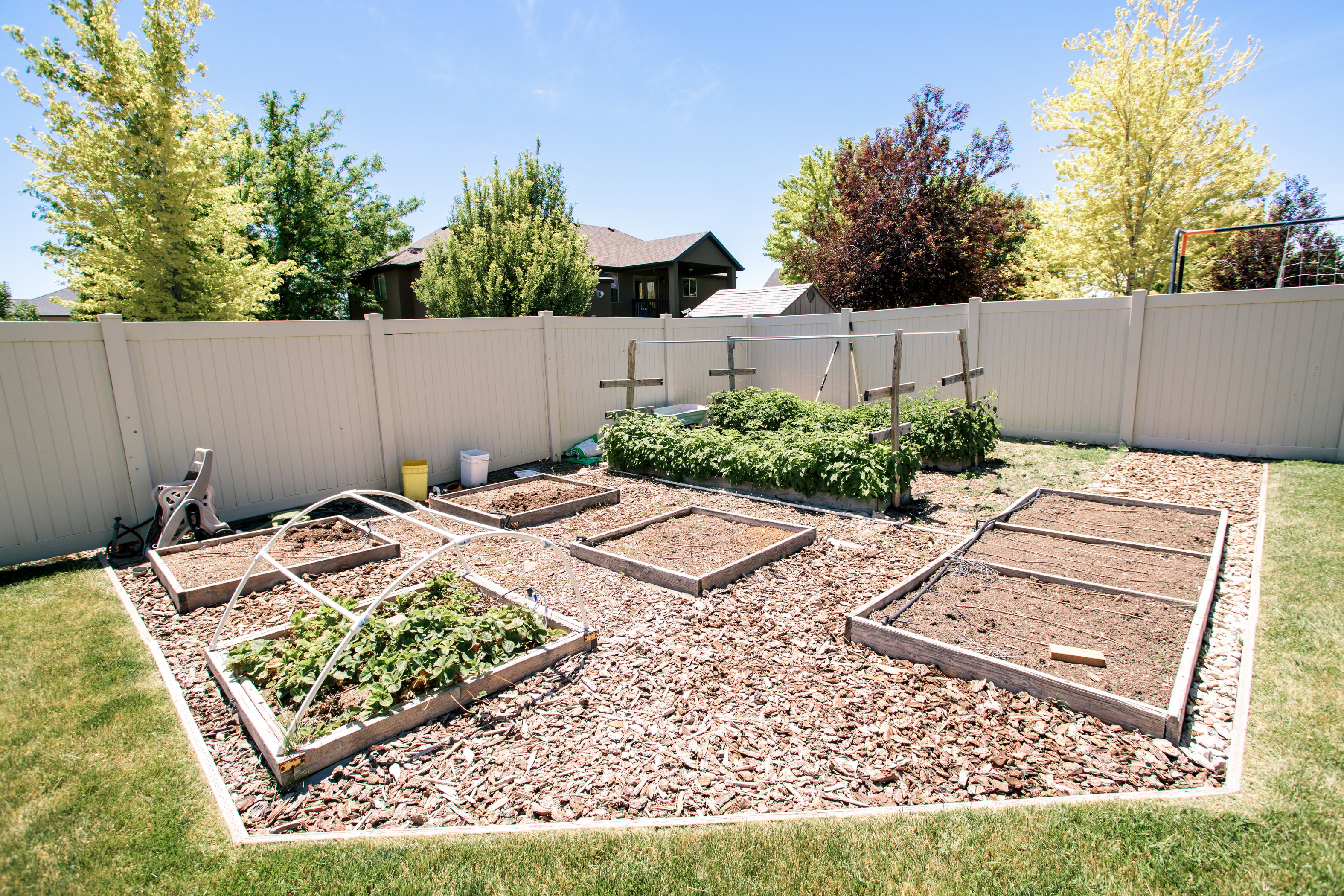Expansive backyard garden area featuring multiple raised beds and wood chip ground cover