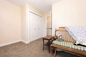 Neutral-toned interior room featuring light-colored walls and textured carpeting