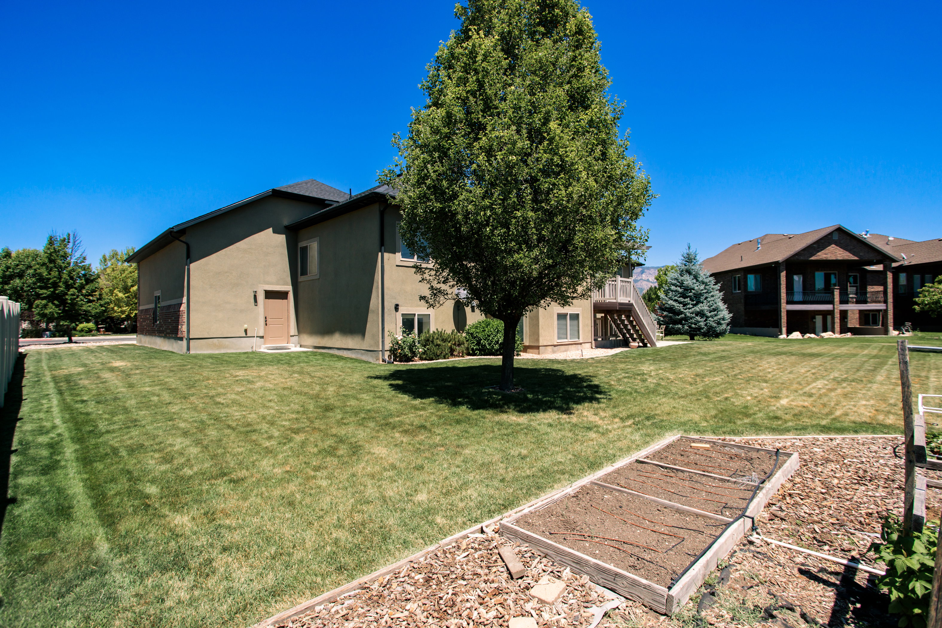 Expansive backyard featuring a manicured lawn, established tree, and a raised garden bed