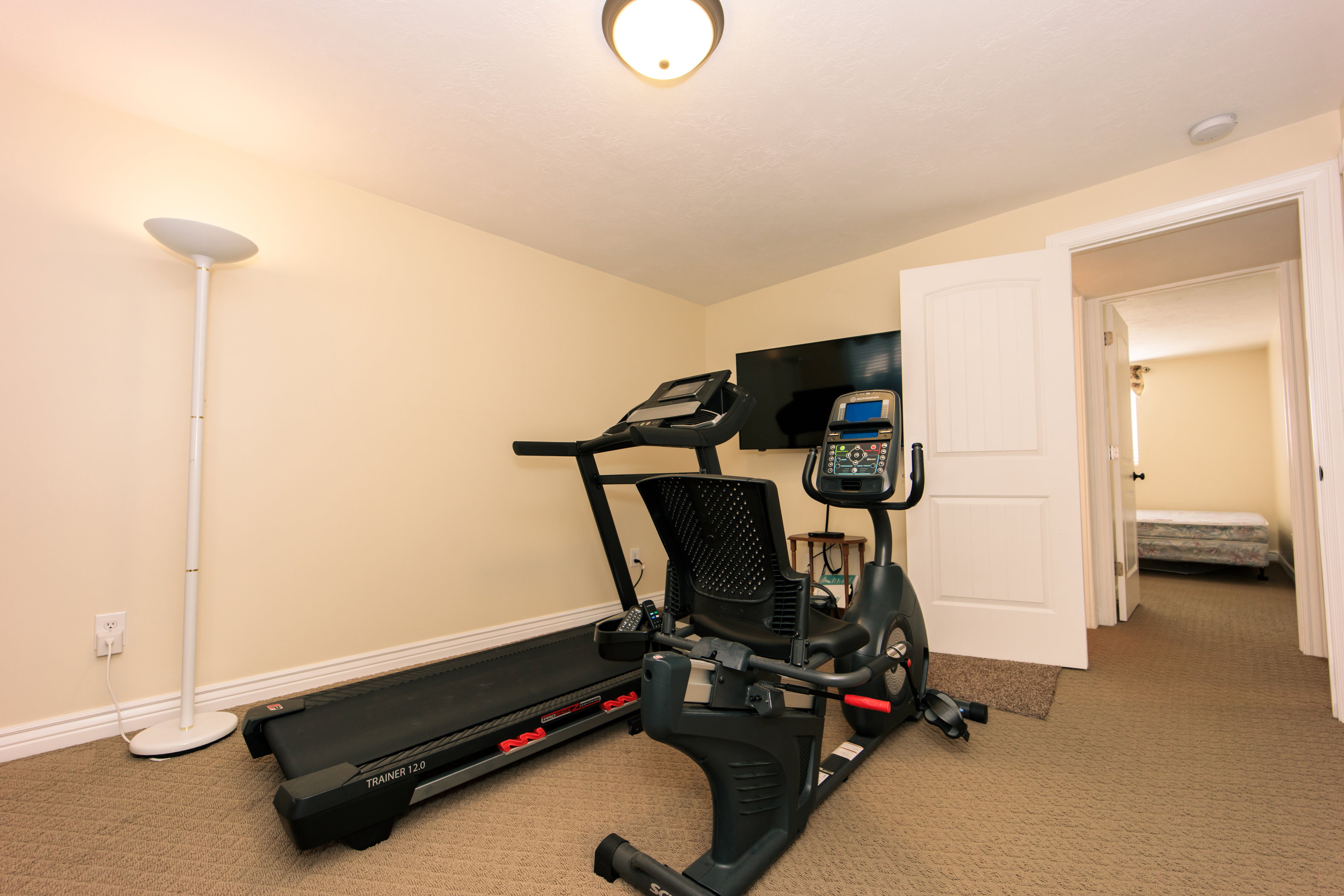 Carpeted interior space with a ceiling-mounted light fixture and a wall-mounted television
