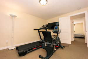 Carpeted interior space with a ceiling-mounted light fixture and a wall-mounted television