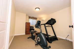 Bedroom, with neutral-toned room featuring carpet flooring, painted walls, a flush-mount ceiling light, and a window with blinds