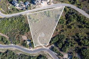 Expansive undeveloped lot featuring natural vegetation and direct road frontage