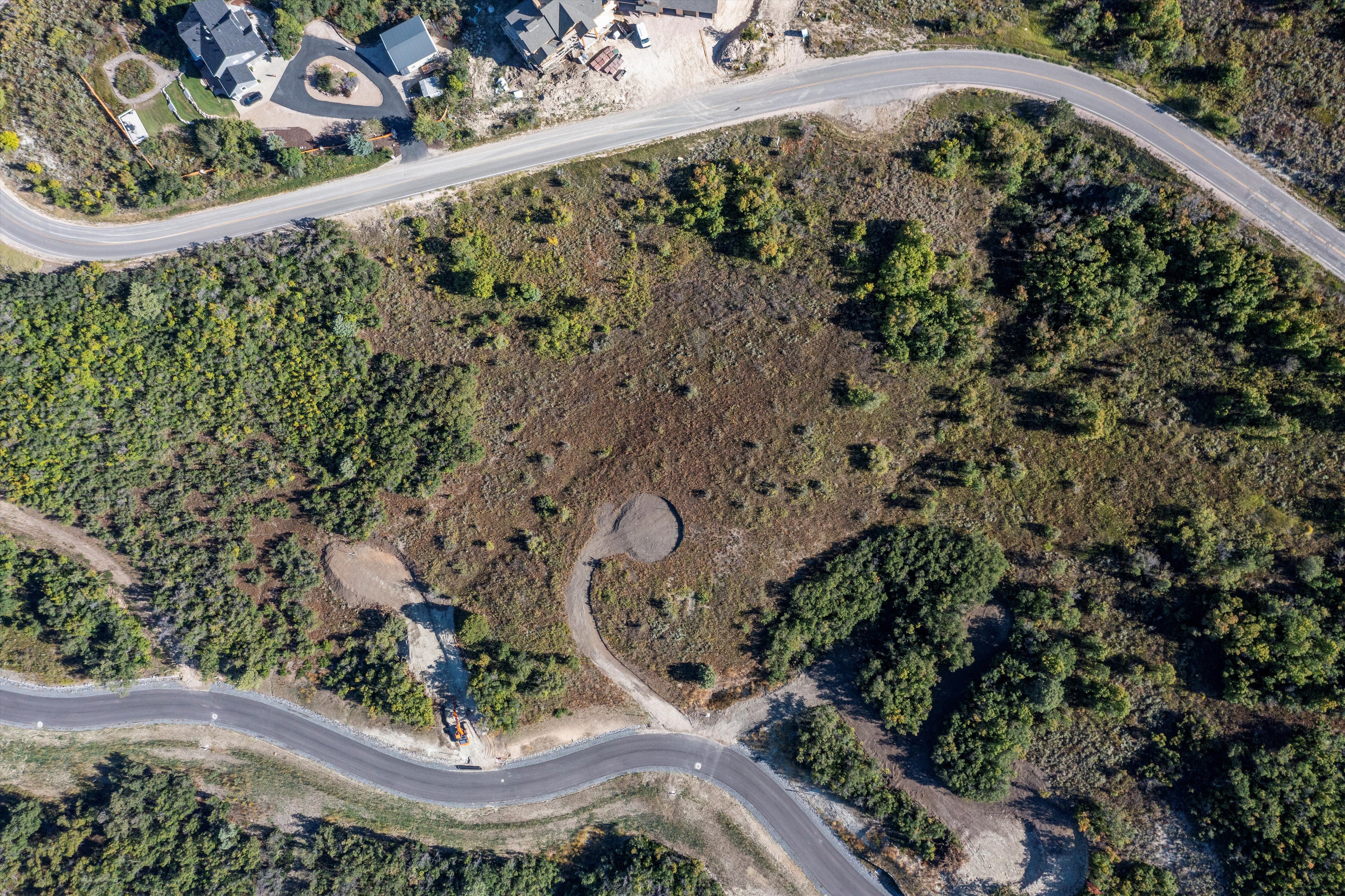 Expansive undeveloped lot featuring mature trees and established roads