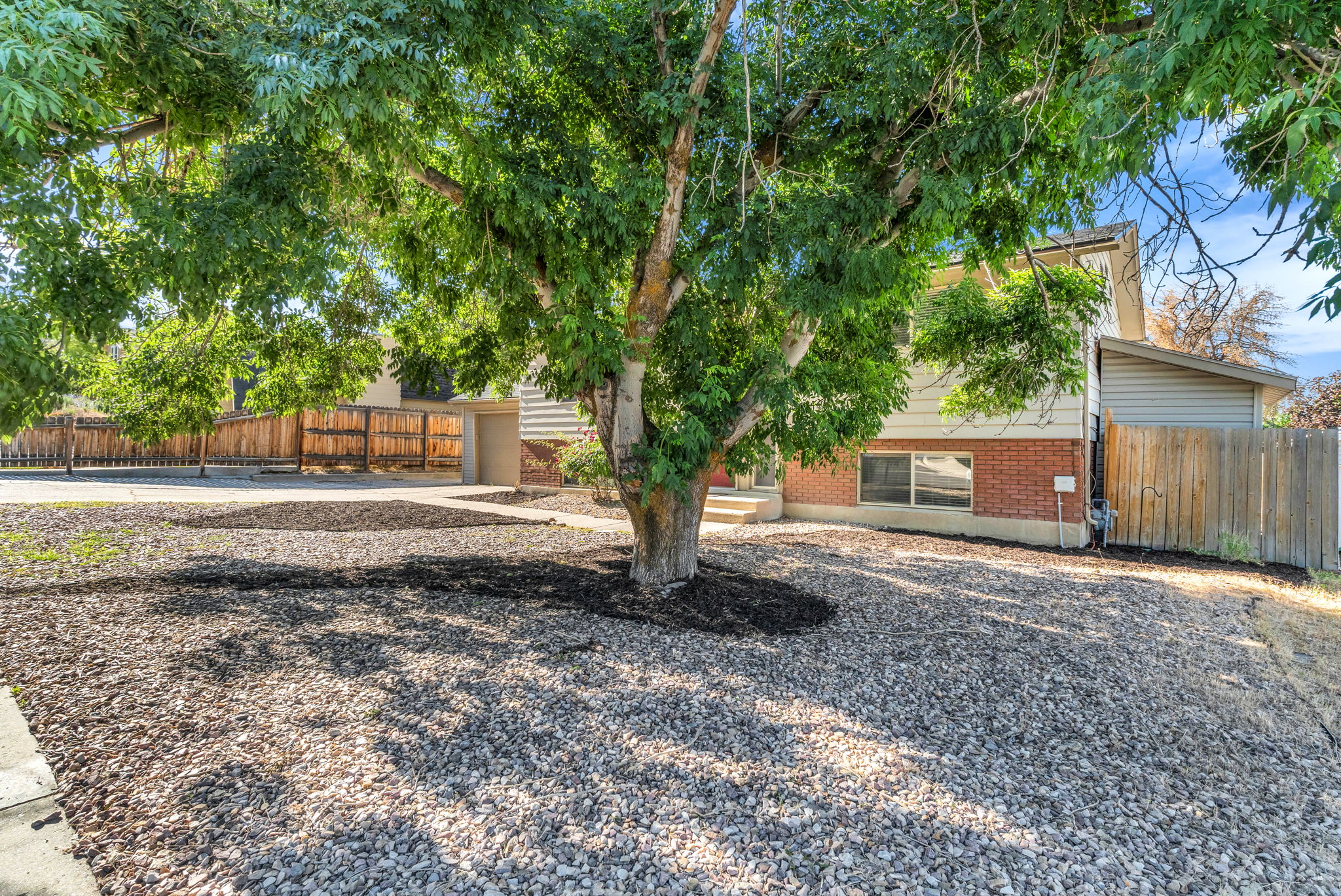 Front exterior featuring a large mature tree, gravel landscaping, a wood fence, red brick accents, and light-colored siding
