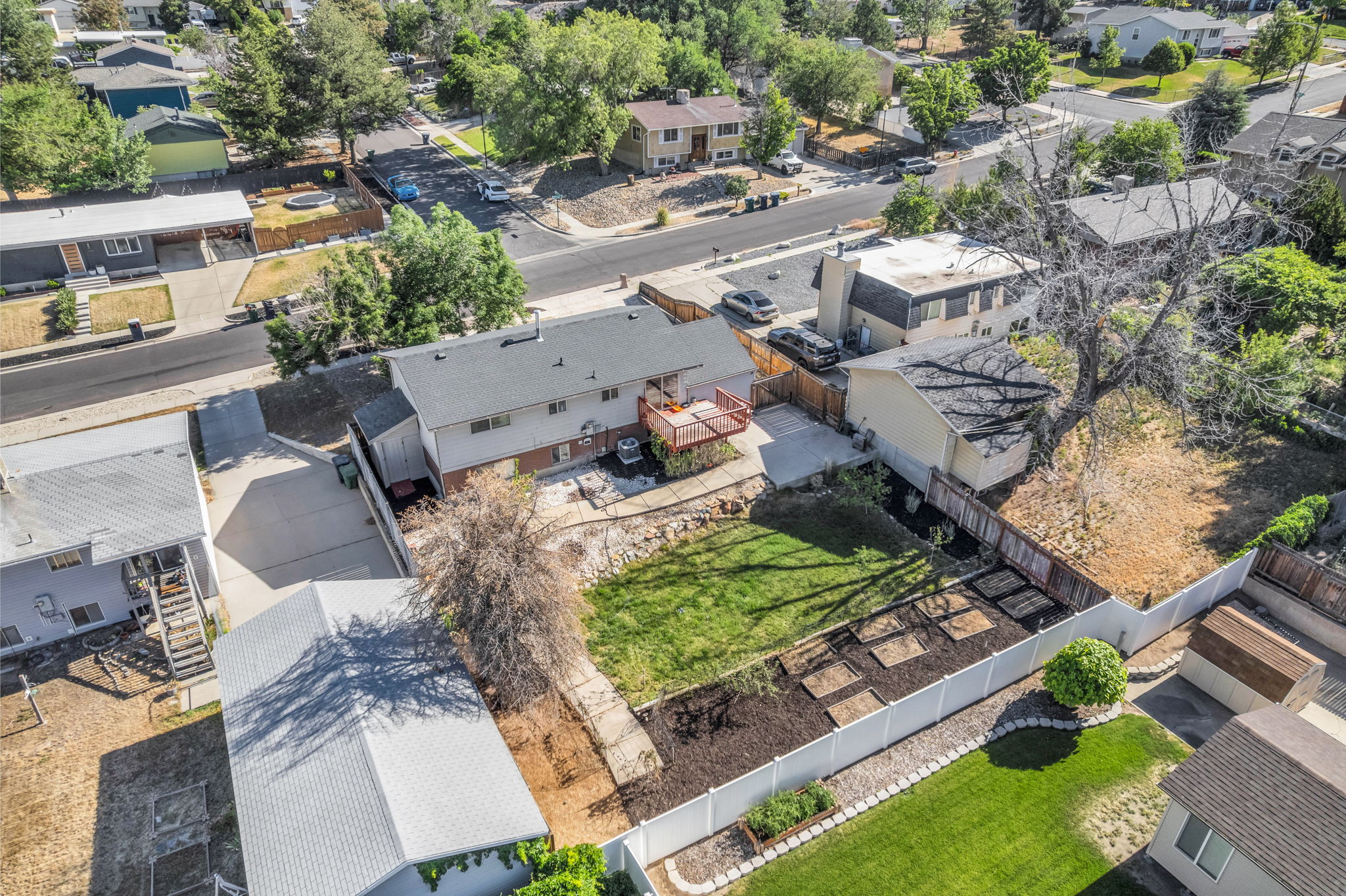 Expansive backyard featuring a manicured lawn, a raised wood deck, and a concrete patio