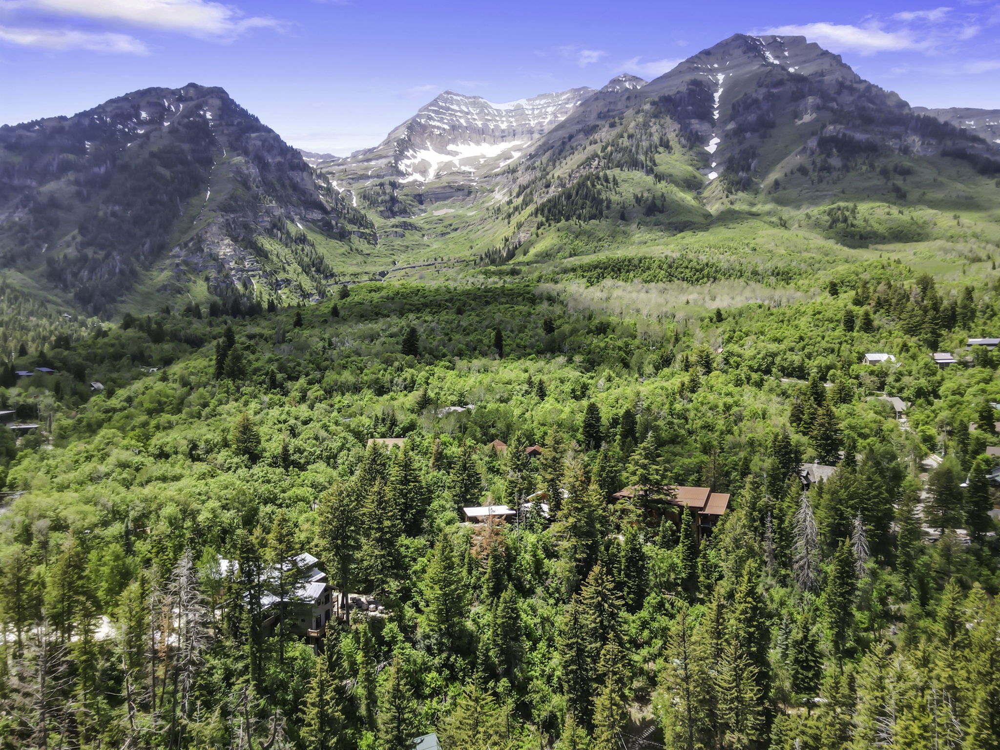 Mountainous landscape featuring extensive tree coverage and visible residential structures