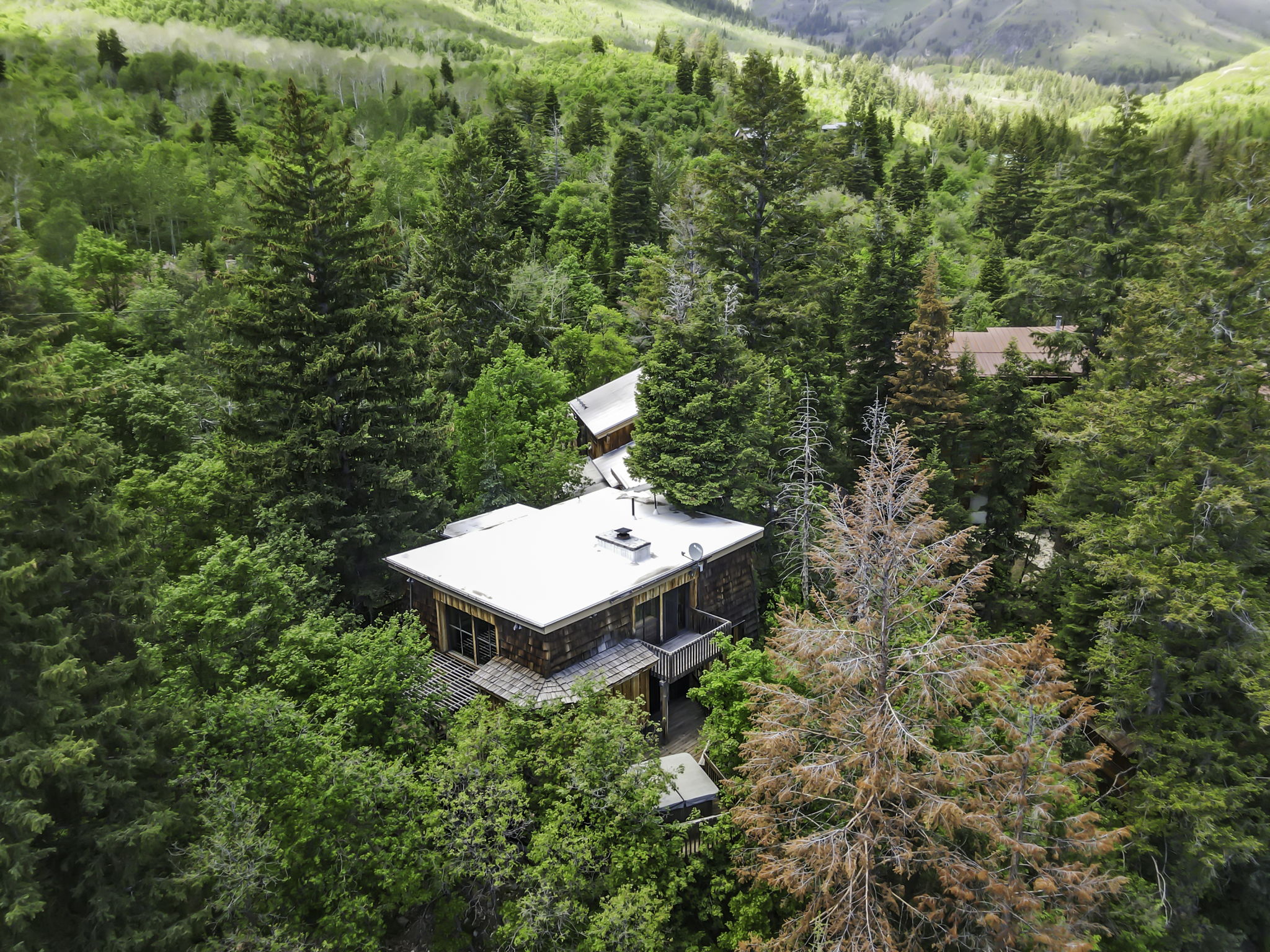 Wood-sided residence surrounded by dense forest, featuring a flat roofline and multiple levels