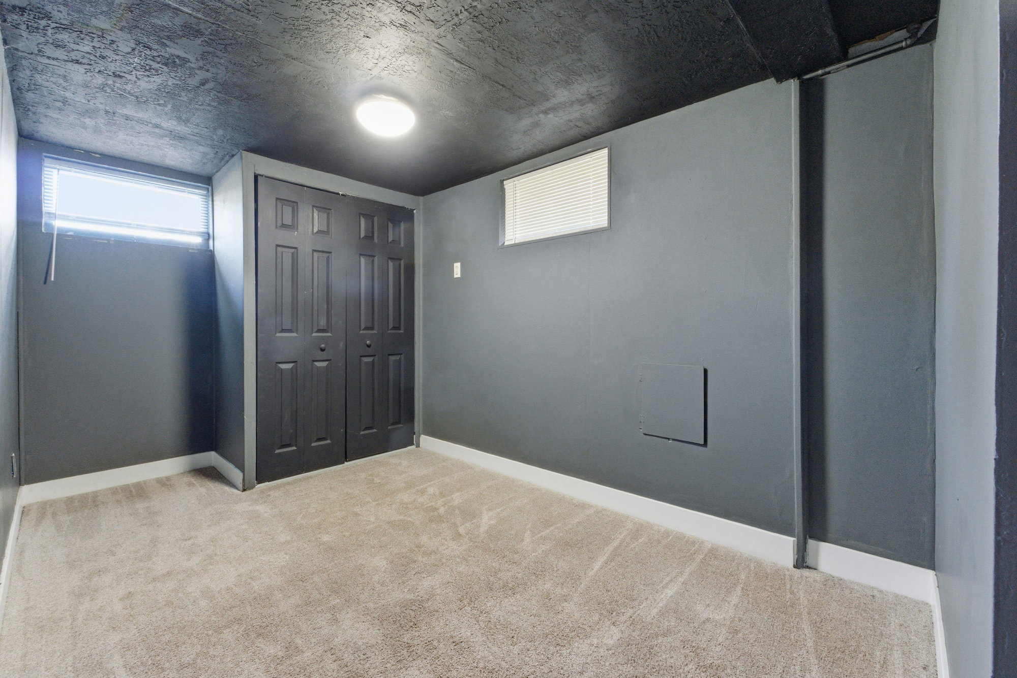 Lower-level bedroom or bonus room with carpet, closet storage, high window, and bold dark ceiling accent.