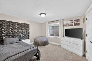 Carpeted bedroom featuring a textured accent wall, a flush-mount ceiling light fixture, a window with a window well, and a paneled interior door