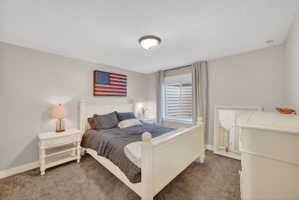 Carpeted room with light gray walls, a single window, and a flush-mount ceiling light fixture
