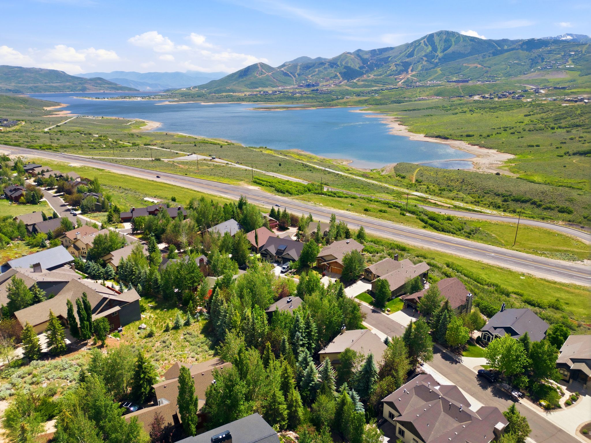 Aerial perspective showcasing a residential community with varied architectural styles, surrounded by lush greenery and mature trees