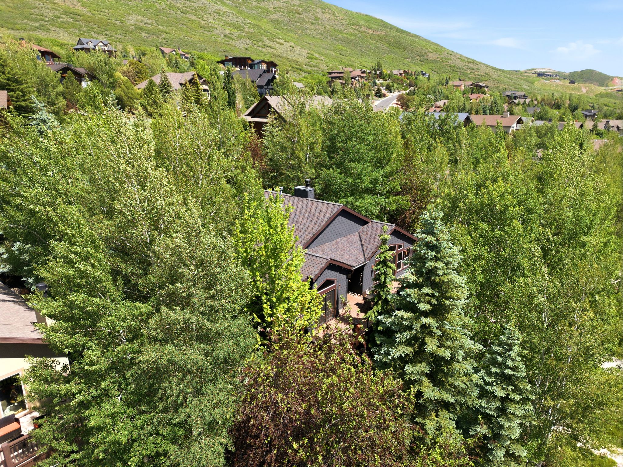 Hillside residence surrounded by mature trees