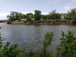 Waterfront property featuring a natural bank, mature trees, and lush perimeter foliage
