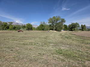 Expansive open field featuring varied grass and visible soil, mature trees, and distant mountain scenery