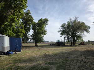 Expansive open land featuring mature trees and a clear sky backdrop
