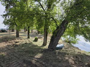 Mature trees providing natural shade