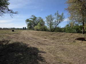 Expansive open land featuring a clear dirt path, mature trees, and a clear blue sky