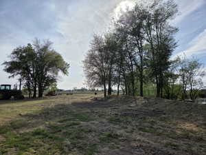 Expansive open-air property featuring a mix of mature and young trees, a partially cleared land area, and a distant water feature