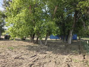 Expansive outdoor area featuring mature trees with lush green foliage, cleared ground cover, and a partial perimeter fence