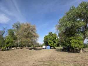 Expansive open land with mature deciduous trees