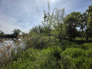 Expansive natural landscape featuring a body of water with reflections, bordered by lush green foliage and mature trees