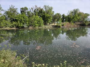 Waterfront property featuring a pond, established trees, and ample green space