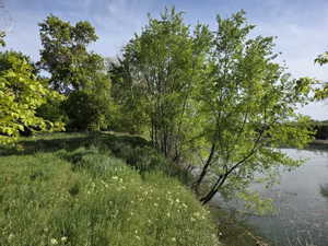 Natural water feature with surrounding lush vegetation