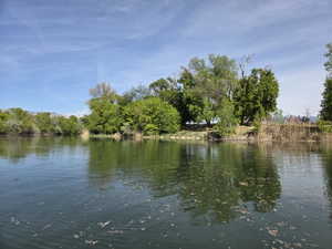 Waterfront setting with a tree-lined bank, varied foliage, and a natural shoreline