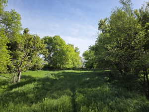 Expansive green space featuring natural landscaping with mature trees and a clear sky backdrop