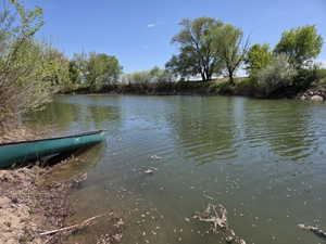 Waterfront property featuring natural shoreline, mature trees, and clear blue skies