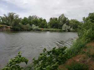 Riverfront property featuring natural bank vegetation and mature trees across the waterway